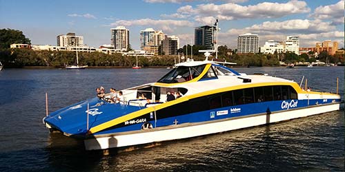CityCat