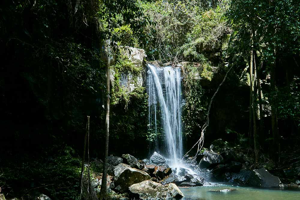 Witches Falls at Mt Tamborine